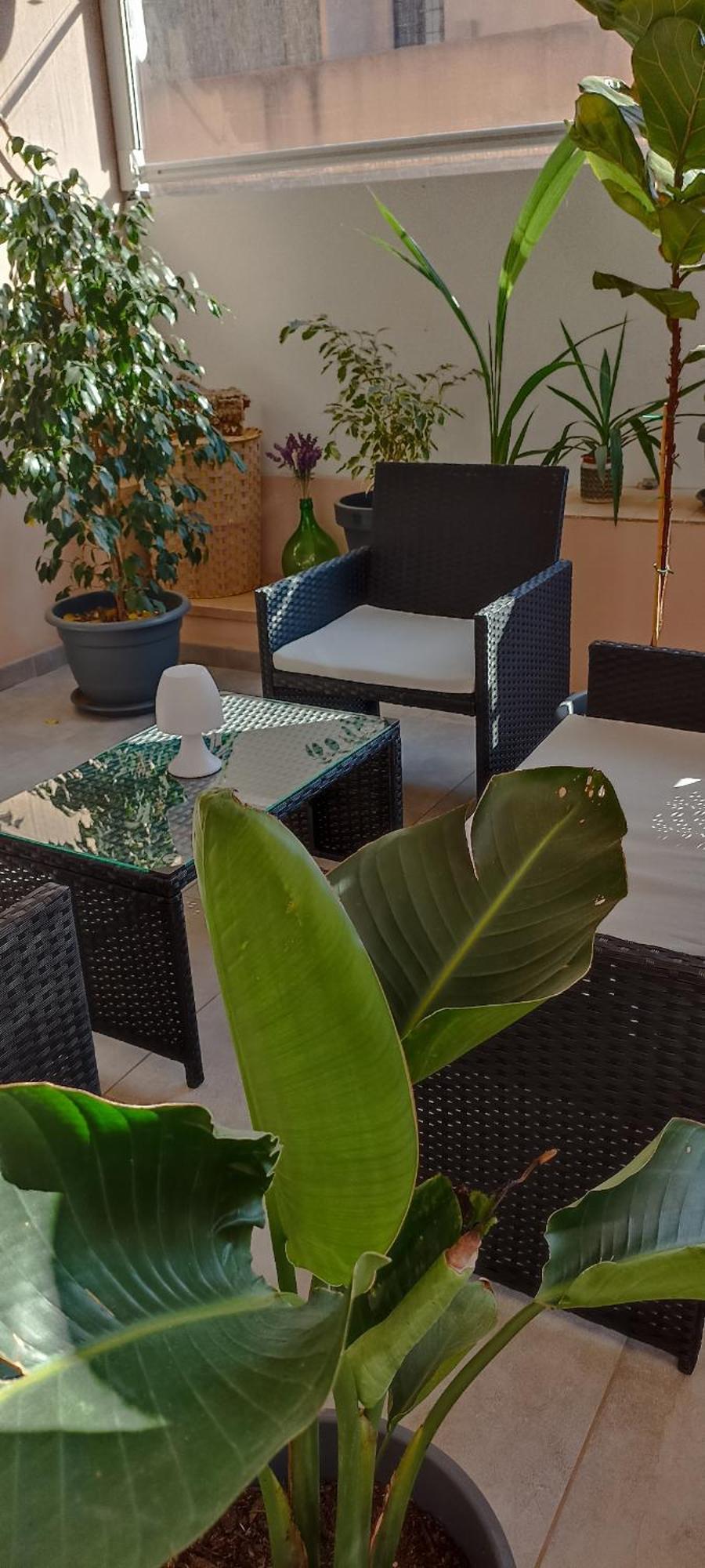 B&B Alghero Reina エクステリア 写真